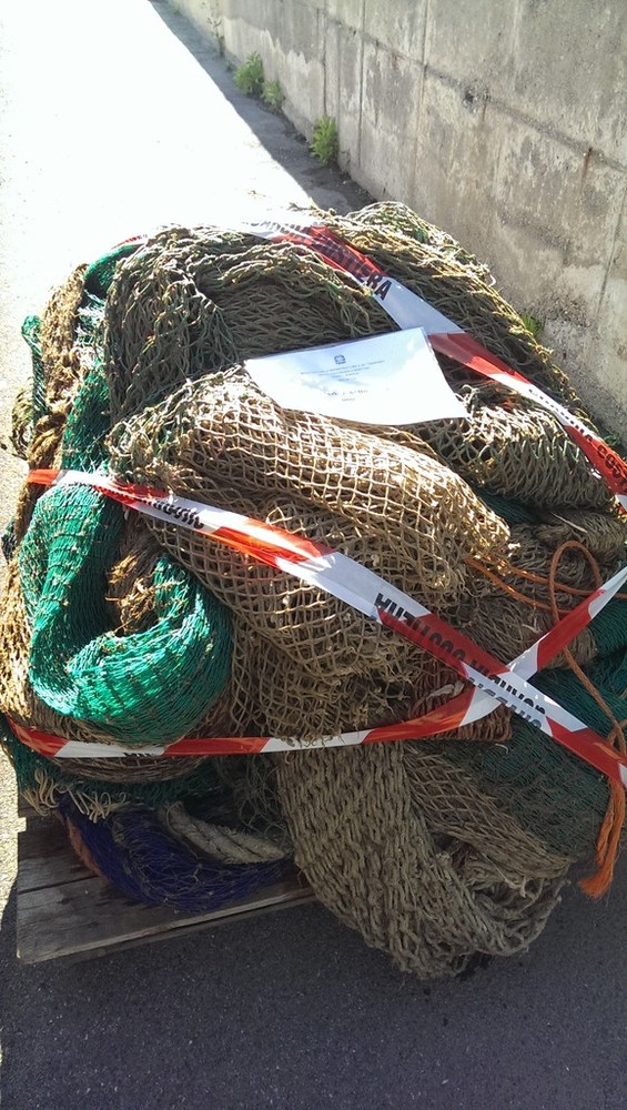 Le frodi nella pesca: dal mare alla tavola