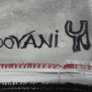 La Fionda non al palio, ma sul palio: messaggio subliminale?