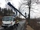 Roccavignale, potati 40 tigli in località Belbo (VIDEO e FOTO) Roccavignale, potati 40 tigli in località Belbo (VIDEO e FOTO)