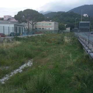Il greto del rio Ranzi a Pietra invaso dagli arbusti: la segnalazione di un lettore