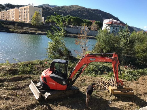 Albenga: pulizia sulle sponde del fiume Centa Albenga: pulizia sulle sponde del fiume Centa