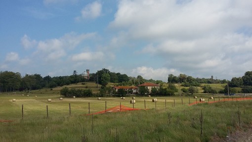 Foto pagina Facebook "Salviamo il prato del Parco Piantelli #iostoconilprato" Foto pagina Facebook "Salviamo il prato del Parco Piantelli #iostoconilprato"