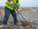 Pulizia straordinaria di ATA delle spiagge libere savonesi: oggi intervento sulla spiaggia di piazzale Eroe dei Due Mondi sotto il Priamar Pulizia straordinaria di ATA delle spiagge libere savonesi: oggi intervento sulla spiaggia di piazzale Eroe dei Due Mondi sotto il Priamar