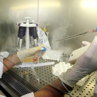 Liguria, nove neoassunti su 10 precari