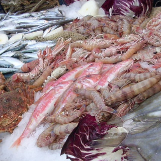 Settore ittico, Coldiretti: "Sicurezza prima di tutto, evitare il pesce importato" Settore ittico, Coldiretti: "Sicurezza prima di tutto, evitare il pesce importato"