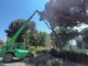 Albisola, controllo degli alberi nel Parco dei Conradi: interdetta l'area e il parcheggio