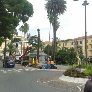 Albenga, si interviene sul verde pubblico