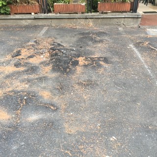 "Piazza Matteotti ad Albenga, una gimcana tra buche e dossi": la denuncia di Ciangherotti