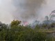 Pietra Ligure: incendio al Trabocchetto, fiamme vicinissime alle case (FOTO e VIDEO) Pietra Ligure: incendio al Trabocchetto, fiamme vicinissime alle case (FOTO e VIDEO)