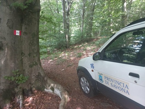 Provincia, 180mila euro per la tutela degli ecosistemi e il turismo sostenibile Provincia, 180mila euro per la tutela degli ecosistemi e il turismo sostenibile