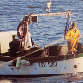 Giornata Mondiale della Pesca, la Liguria celebra i suoi pescatori: &quot;Custodi di tradizioni e sostenibilità&quot;