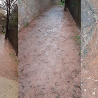 Pietra Ligure, Carrara: "Parchi pubblici in condizioni deprecabili"