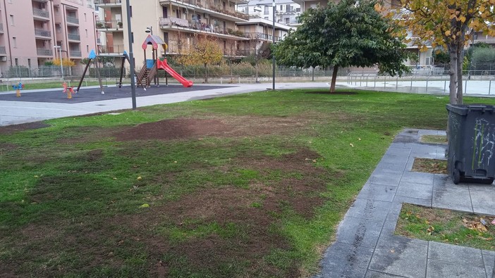 Albenga, ripristinato il manto verde nelle aiuole di piazza Tortora