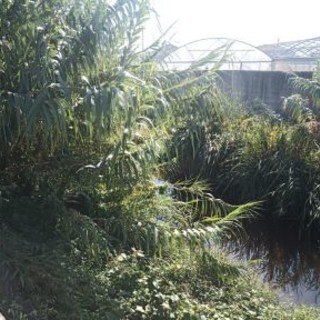 Albenga, il Comitato Civico di Lavante San Giorgio scrive al comune: “Gravi problematiche della zona segnalati e non gestiti. Urgono interventi risolutivi”