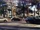 Savona tra povertà e degrado, i Verdi savonesi: "Solo tagli, nessuna soluzione" Savona tra povertà e degrado, i Verdi savonesi: "Solo tagli, nessuna soluzione"