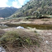 Zuccarello, è iniziata la pulizia del fiume Neva per prevenire rischi legati alle piene Zuccarello, è iniziata la pulizia del fiume Neva per prevenire rischi legati alle piene