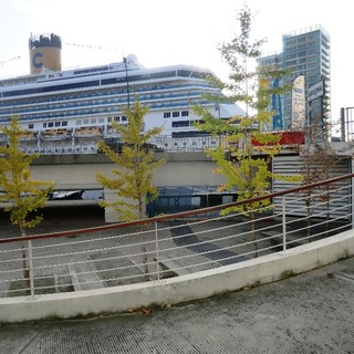 Duro attacco della Pongiglione "Benvenuti a Shangrila, anche a Savona le leggi della fisica sono ribaltate"