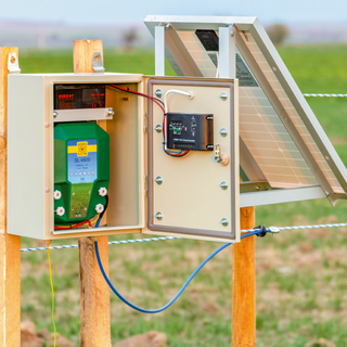 Pascolo digitale – Il pastore elettrico e il suo ruolo nell'agricoltura smart