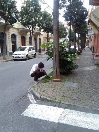 Albenga si muove per Peter, il ragazzo nigeriano che pulisce le strade Albenga si muove per Peter, il ragazzo nigeriano che pulisce le strade