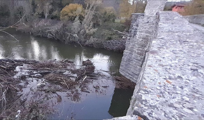 Alluvione a Cairo: rimossi i grossi alberi intrappolati sotto il Ponte Romano di Rocchetta Alluvione a Cairo: rimossi i grossi alberi intrappolati sotto il Ponte Romano di Rocchetta