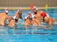 Pallanuoto, in arrivo le semifinali di Euro Cup. Savona sfavorita nei pronostici per la vittoria finale Pallanuoto, in arrivo le semifinali di Euro Cup. Savona sfavorita nei pronostici per la vittoria finale