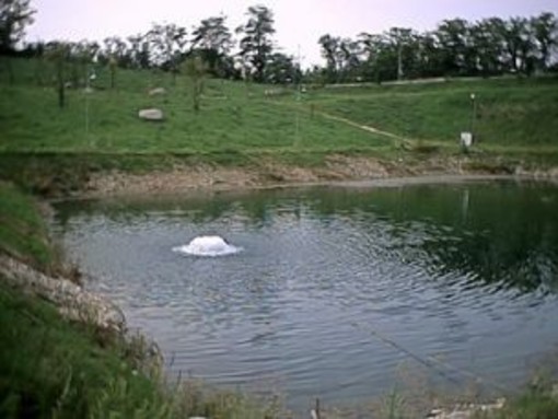 Savona: stop della pesca fluviale per il ripopolamento