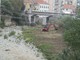 Savona, prosegue la pulizia del Letimbro alla foce e a Lavagnola. Assessore Santi: "Presto gli interventi in zona Riborgo e al Santuario" (FOTO E VIDEO)