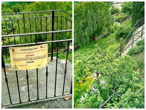Pietra Ligure, il consigliere Carrara all'attacco su parchi cittadini e aree verdi: "Sembrano diventati delle filiali della foresta Amazzonica"