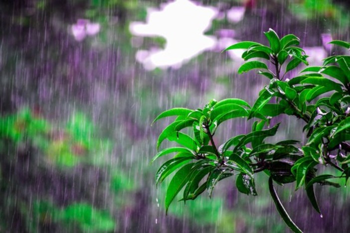 Meteo: dopo due mesi di siccità da domani pioggia in arrivo Meteo: dopo due mesi di siccità da domani pioggia in arrivo