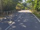 Savona, messa in sicurezza di un ponte sulla Sp 12: scatta il senso unico alternato regolato h24 Savona, messa in sicurezza di un ponte sulla Sp 12: scatta il senso unico alternato regolato h24