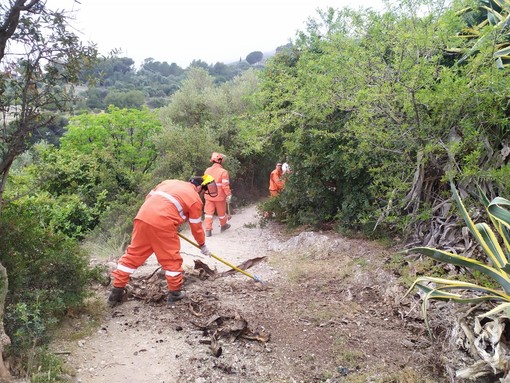 Albenga, pulizia straordinaria della via Julia Augusta da parte della Protezione civile (FOTO) Albenga, pulizia straordinaria della via Julia Augusta da parte della Protezione civile (FOTO)