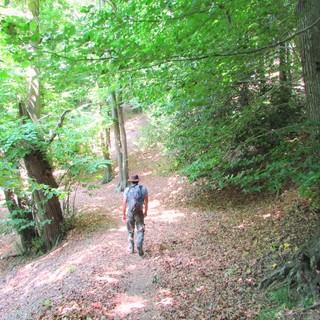 Week End Nella Riserva naturale dell’Adelasia 1-2-3 Luglio