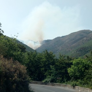 Incendio boschivo a Peagna, intervengono 2 canadair