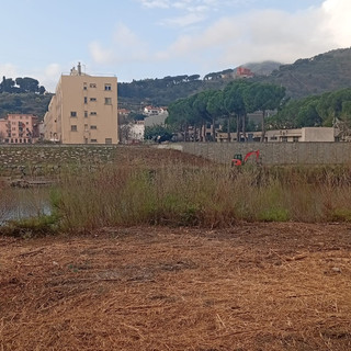Albenga, entro marzo la fine dei lavori di pulizia del Centa: conservate isole di vegetazione e migliorato il decoro