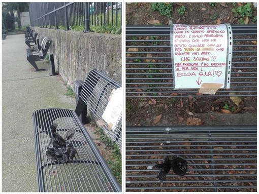 Savona, singolare protesta anti-deiezioni: raccoglie escrementi di cani e li dissemina sulle panchine (FOTO) Savona, singolare protesta anti-deiezioni: raccoglie escrementi di cani e li dissemina sulle panchine (FOTO)