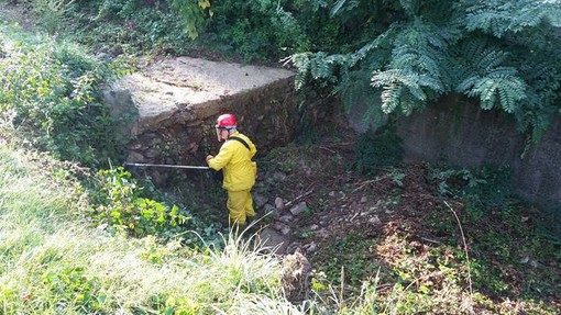 Difesa del suolo, l'assessore Giampedrone: "2 milioni di euro per 117 comuni liguri"