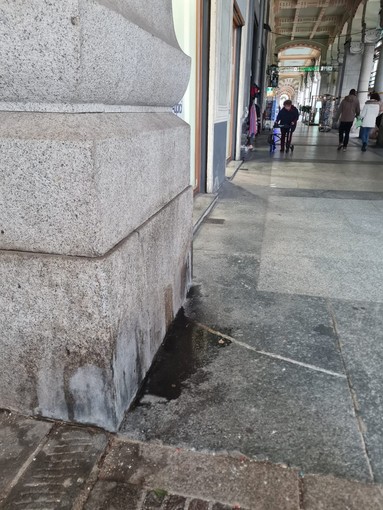 Portici di via Paleocapa a Savona e incuria: "La via principale in condizioni pietose: una vergogna" (FOTO) Portici di via Paleocapa a Savona e incuria: "La via principale in condizioni pietose: una vergogna" (FOTO)
