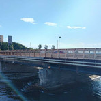 Savona, ponte sul Quiliano, via ai lavori con viabilità a senso unico alternato fino a ottobre
