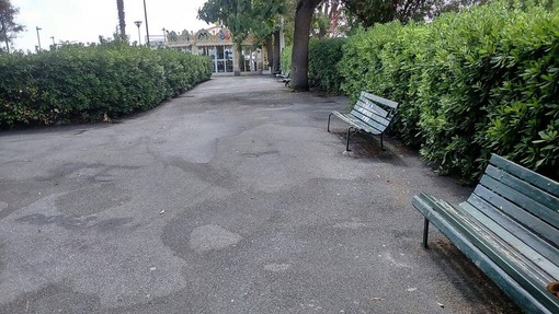 Savona, ripulita la zona del Prolungamento Savona, ripulita la zona del Prolungamento