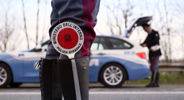 Toro fa "irruzione" sulla A6: chiuso il tratto tra Millesimo e Ceva Toro fa "irruzione" sulla A6: chiuso il tratto tra Millesimo e Ceva