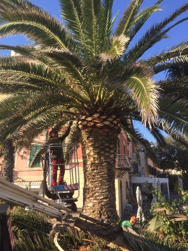 Immagine pubblicata sulla pagina Facebook "Comune di Celle Ligure"