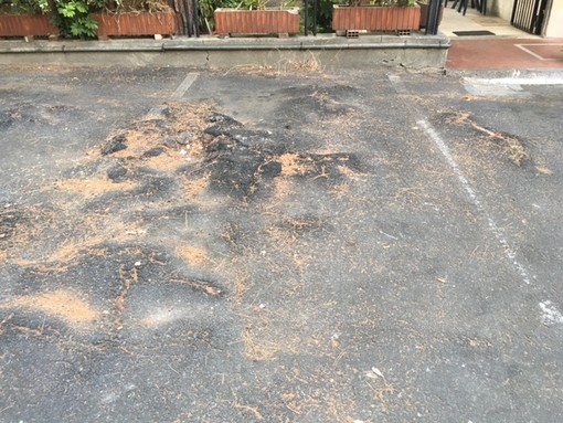 "Piazza Matteotti ad Albenga, una gimcana tra buche e dossi": la denuncia di Ciangherotti