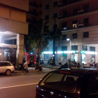 Savona, a fuoco una palma in via Gramsci