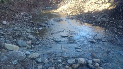 Albissola Marina: avviato un piano annuale di interventi e manutenzione per la messa in sicurezza idraulica