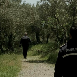 Ancora spaccio di cocaina a Ceriale: proseguono le indagini della polizia locale