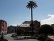 Albisola, verrà abbattuta la storica palma di via Turati Albisola, verrà abbattuta la storica palma di via Turati