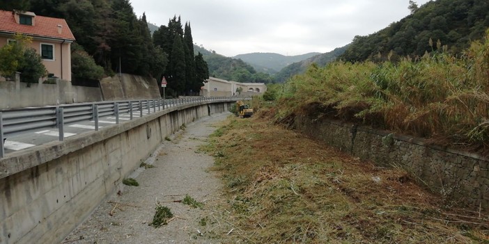 Albisola, iniziati i lavori di pulizia dell'alveo del rio Basco