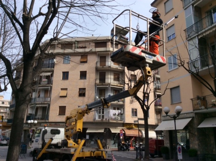 Ad Albenga proseguono i lavori di manutenzione del verde Ad Albenga proseguono i lavori di manutenzione del verde