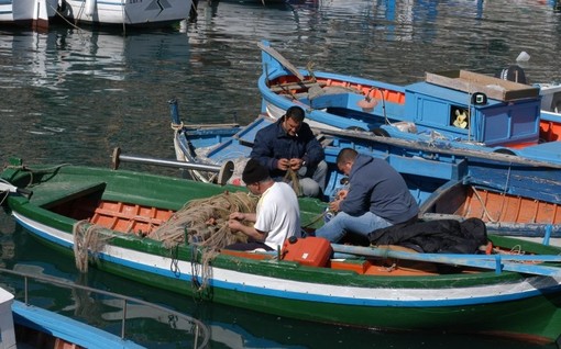 Coldiretti Liguria: "Pescatori custodi del mare e del futuro" Coldiretti Liguria: "Pescatori custodi del mare e del futuro"