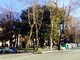 Giardini di piazza del Popolo a Savona: dalla prossima settimana al via la riqualificazione, dopo un anno e mezzo di ritardo Giardini di piazza del Popolo a Savona: dalla prossima settimana al via la riqualificazione, dopo un anno e mezzo di ritardo